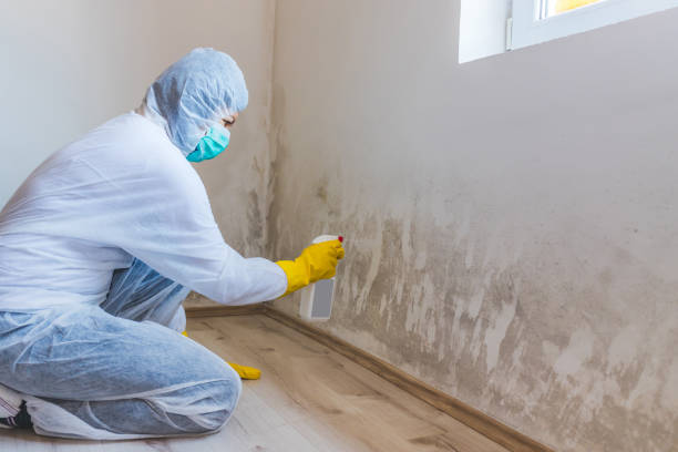 Mold Remediation specialist working in Lombard